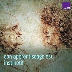 Léonard de Vinci et l'invention du bio-mimétisme