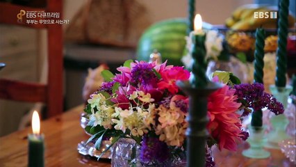 EBS 다큐프라임 - Docuprime_부부는 무엇으로 사는가 (일부일처제의 비밀)_#002