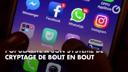 WhatsApp : pourquoi il ne faut pas cliquer sur le bouton de partage pour le moment