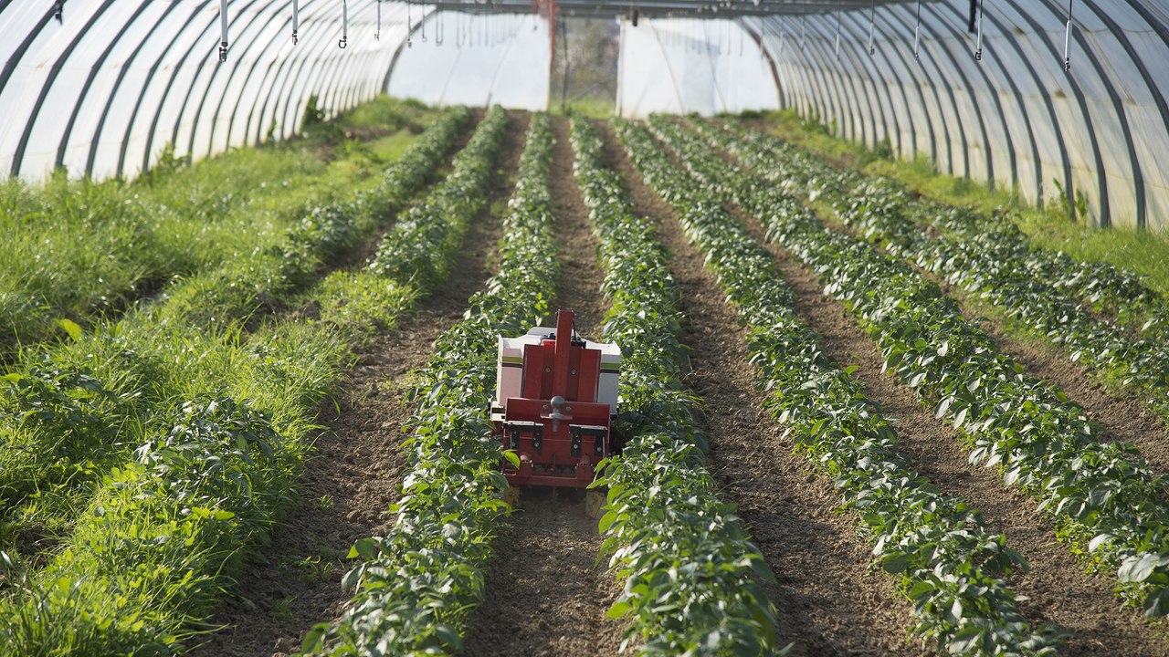Écophyto, qu’est-ce que c’est ?