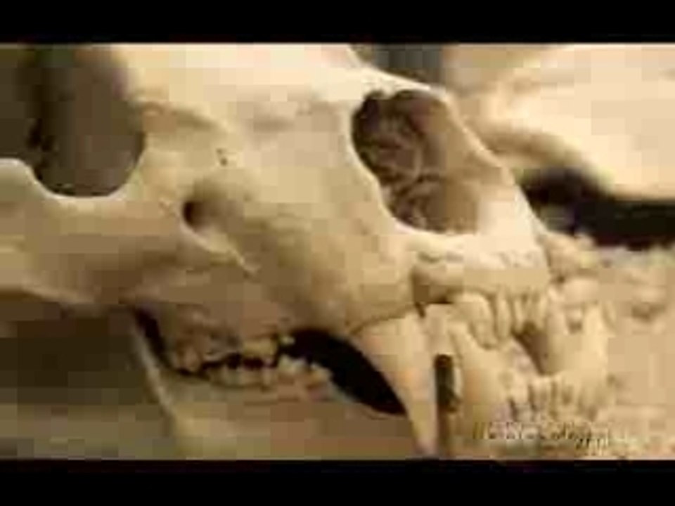 Lost Trailer ABC 04x02