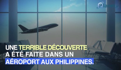 Une Américaine arrêtée à l'aéroport avec un bébé dans son bagage à main