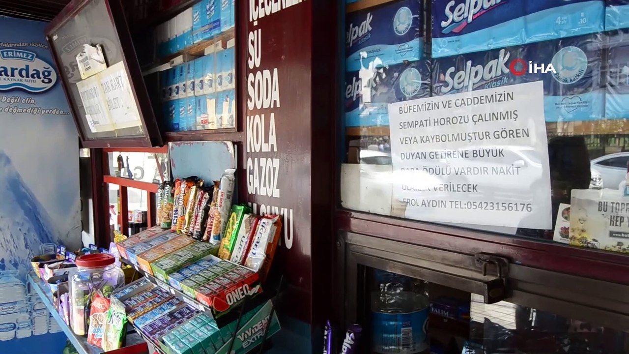 Kaybolan horozunu bulmak için dedektif gibi iz sürüyor