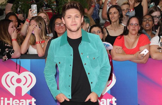 Niall Horan reveals Hailee Steinfeld heartbreak on new track