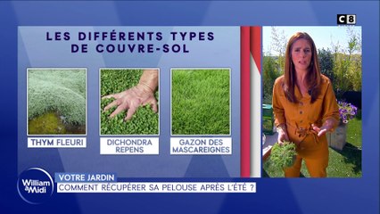 Comment récupérer sa pelouse après l'été ?