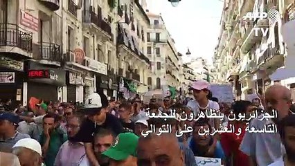 الجزائريون يتظاهرون للجمعة التاسعة والعشرين على التوالي