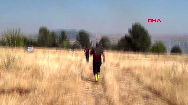 Adıyaman'da ormanlık alanda yangın