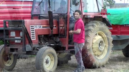 Sakarya ayçiçeği üreticilerinin 'fiyat' şikayeti