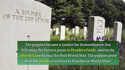 Remembrance Day video