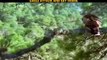 Eagle Fight Powerful Compilation - Eagle Catching and Eating Snake - Amazing Moments Of Eagle Fights-JdkRZGx0bNI