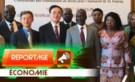 reportage : Chine-Afrique, la vérité sur l'endettement chinois