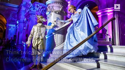 Disney Parks Has a Ban on Adults Wearing Costumes