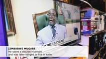 Mugabe from Zimbabwean liberation to oppression