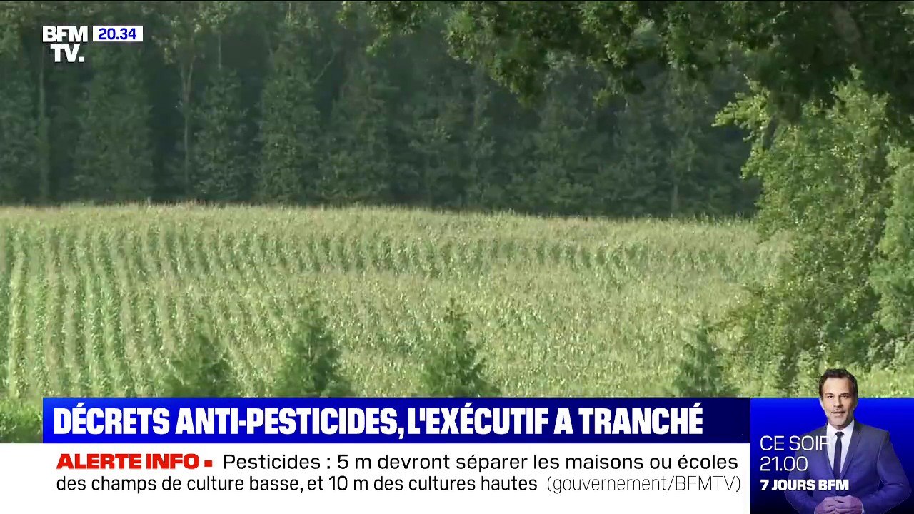 Pesticides: entre 5 et 10 mètres minimum devront séparer les maisons ou les écoles des champs