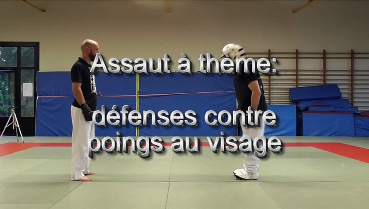 Défenses contre coups de poings visage