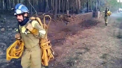 Incendio Fisterra (Vigo-Mallas)