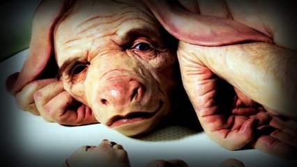 LOS  EXPERIMENTOS  SECRETOS  DE  ALBERT EINSTEIN