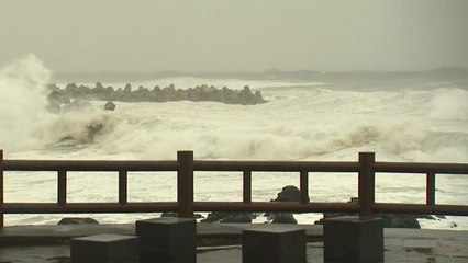 '태풍 길목' 제주도 강풍 여전...피해 속출 / YTN