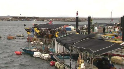 군산 비응항...9시쯤 군산 앞바다 통과 / YTN