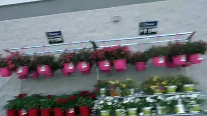 BDMV-64 Aruna & Hari Sharma shopping at Walmart Supercentre Fayeteville AR, MAy 13, 2019