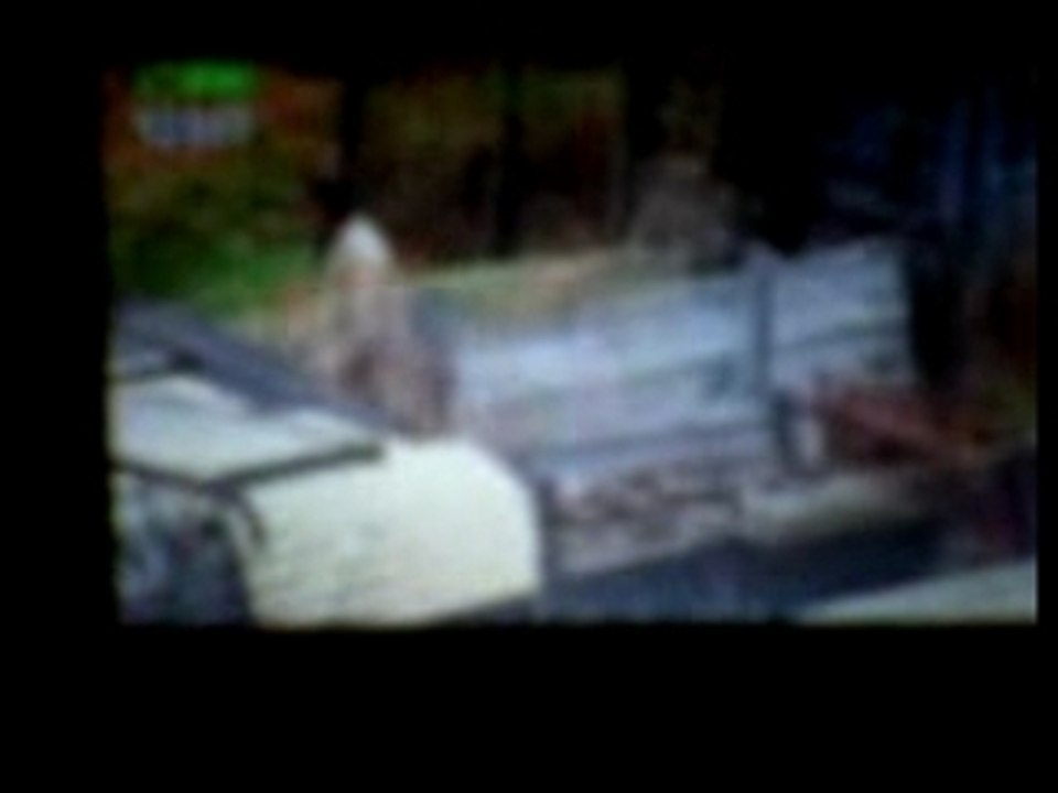 Video 01220002