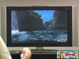 Dragon Quest Sword - Les chutes d'eau