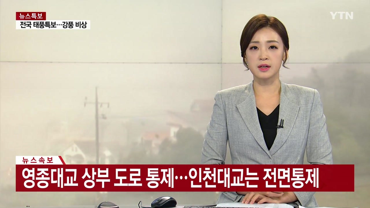 [속보] 영종대교 상부도로 통제...인천대교는 전면 통제 / YTN