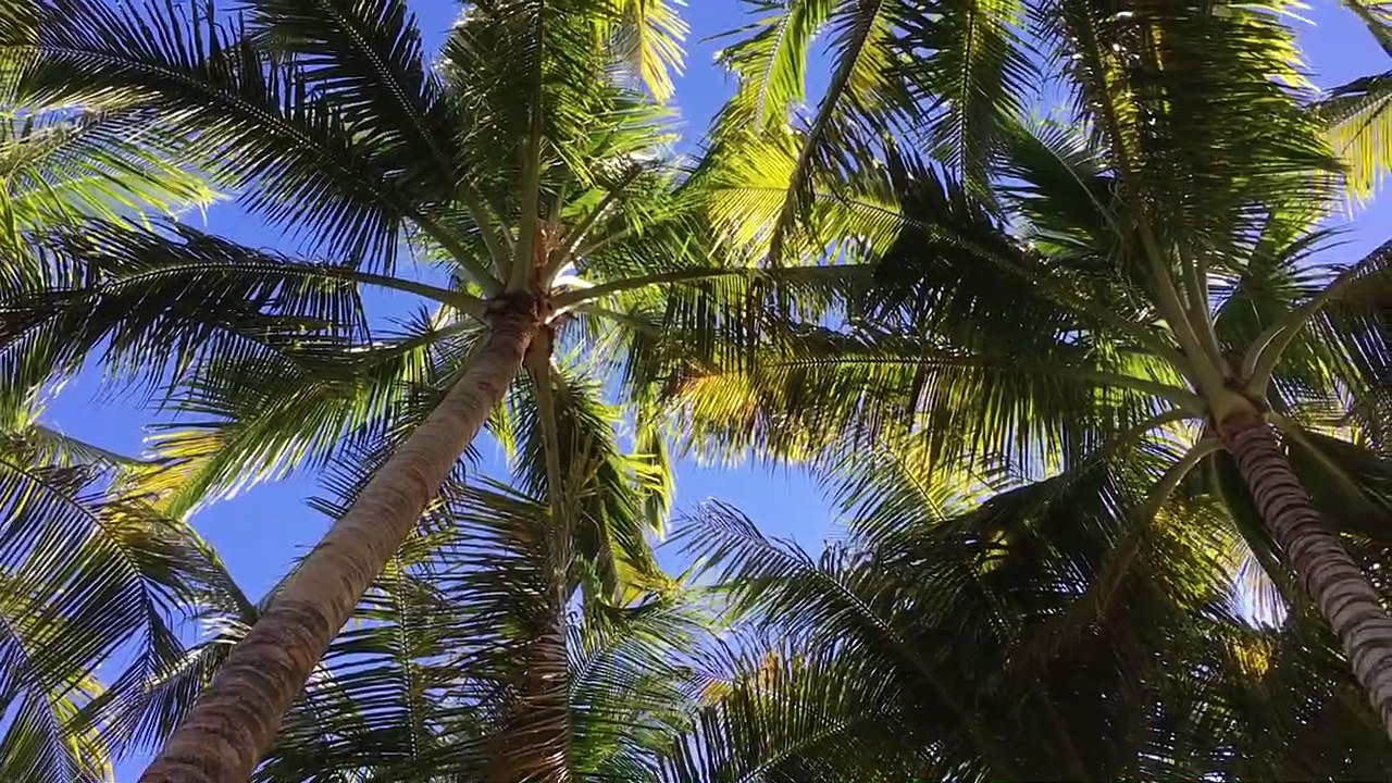 SIARGAO  commentary part3