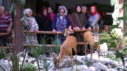 Büyükşehir’in kent içi turlarına büyük ilgi