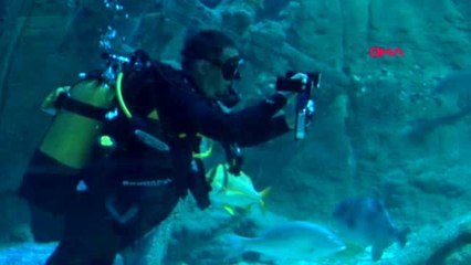 İstanbul'un jaws'ları ile dalış keyfi