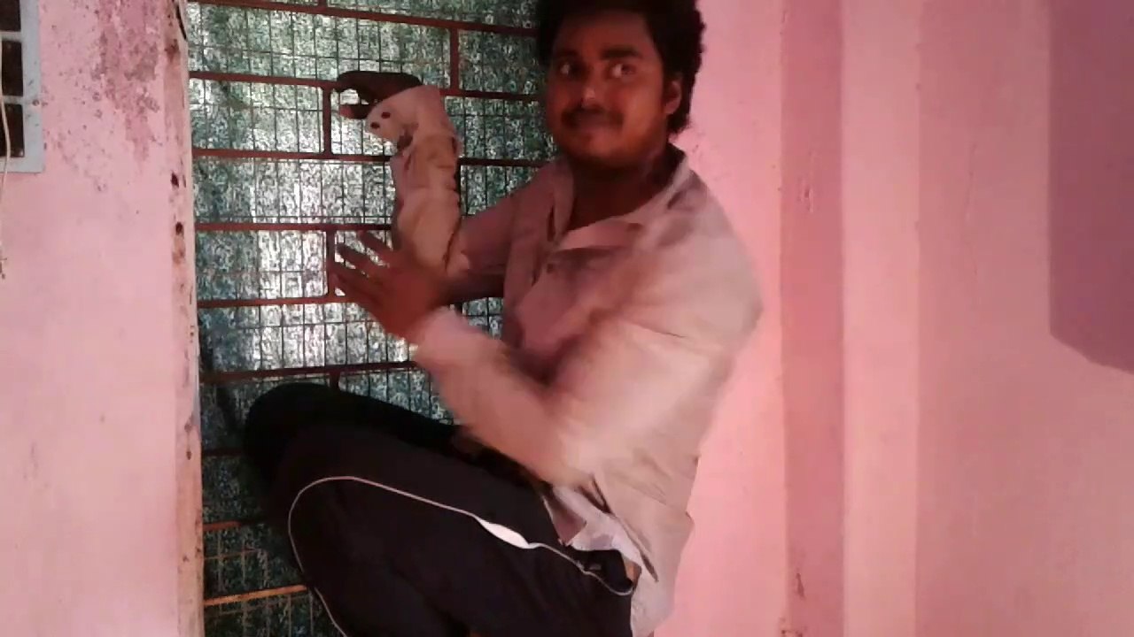 Biwi ko kahi par jane se Rokna Matt | Aanish Tigre