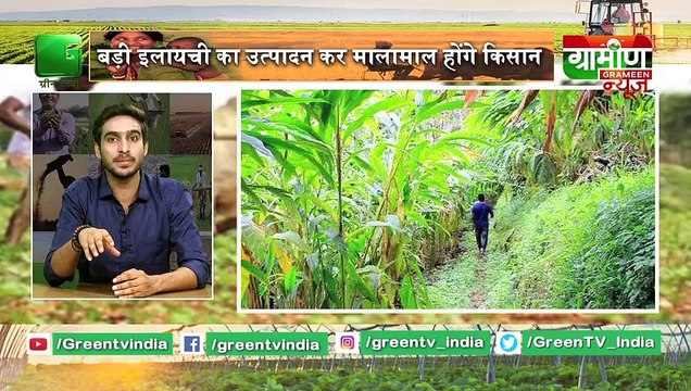 Kisano के लिए Krishi आसान बनाने की कोशिश, कृषि यंत्रों पर अनुदान देगी Bihar Government | Grameen News