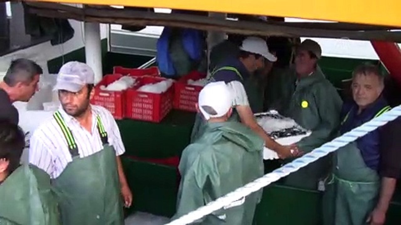 Bandırma balık halinde hamsi bereketi - BALIKESİR