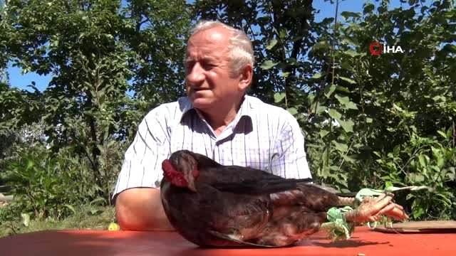 13. yaşı kutlanan tavuk telef oldu, sahibi gözyaşı döküp mezar yaptı