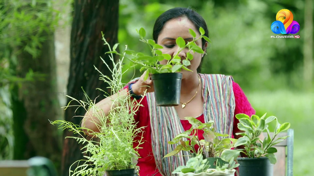 Uppum Mulakum | Flowers | Ep # 938