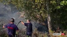 Report TV -Vlorë/ Zjarr në një parcelë ullinjsh, dyshohet se është vënë qëllimisht