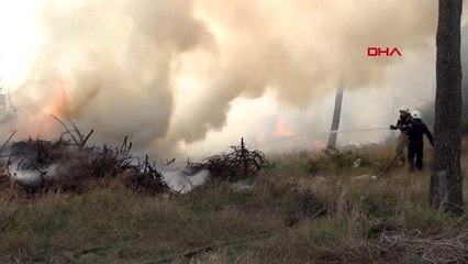 Arnavutköy'de ormanlık alanda yangın