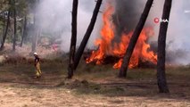 Arnavutköy'de ormanlık alanlık alanda yangın