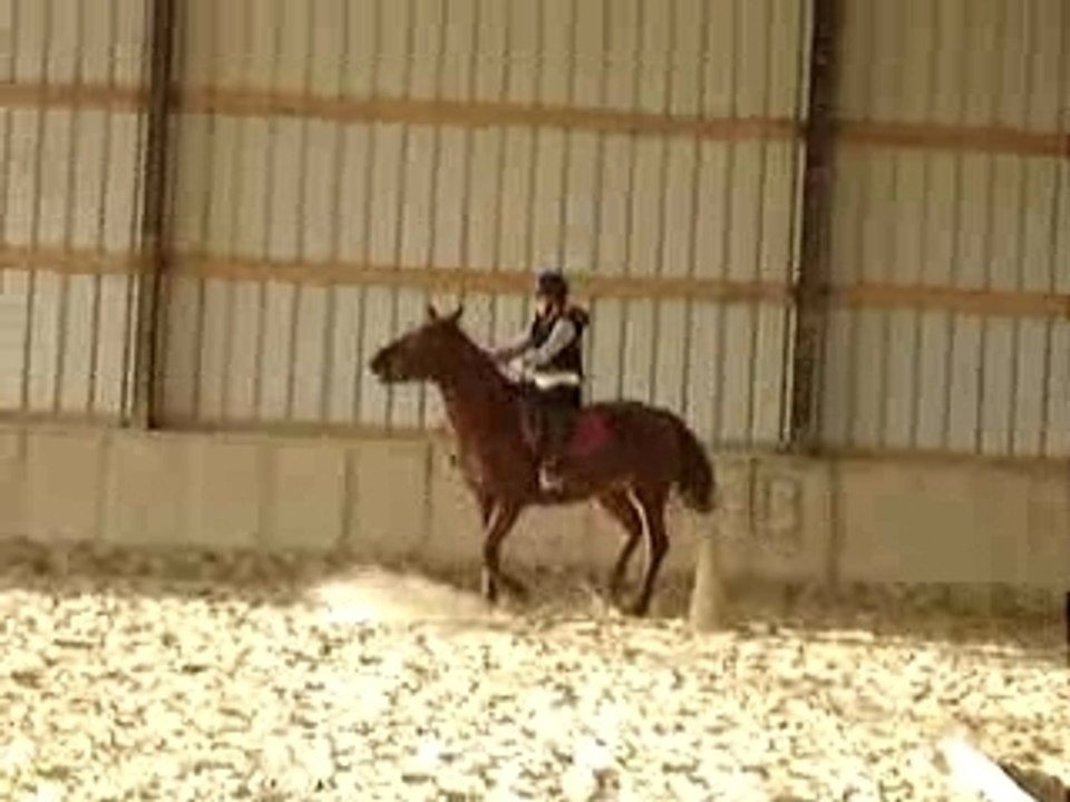 Moi & Sanka