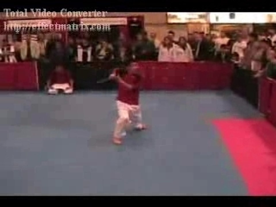Team Ryouko Demonstration