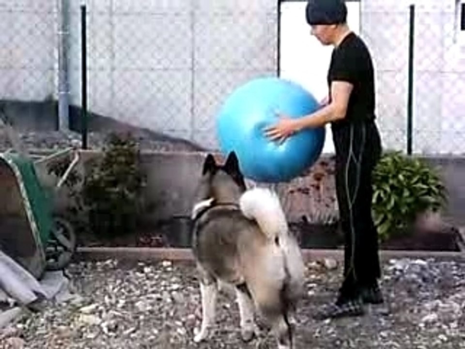Luis et son nouveau cadeau (partie 2)