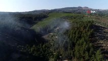 Bursa'da orman yangını 20 dönüm alanı kül etti