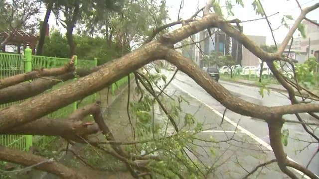 [날씨] 역대 5위 강풍 태풍...'가을 태풍' 또 온다 / YTN