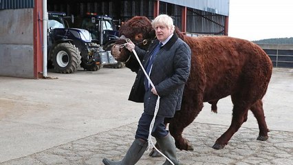 Boris Johnson sous pression judiciaire