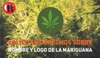 Solicitan derechos sobre nombre y logo de la mariguana