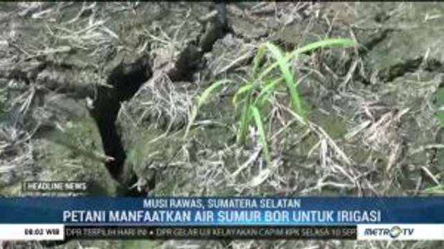 Puluhan Hektare Sawah di Musi Rawas Terancam Kekeringan