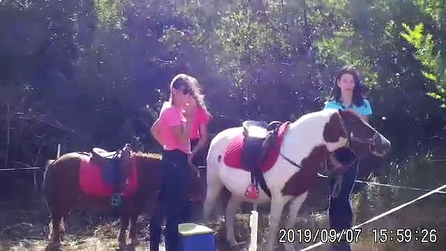 Fête du sport avec les poneys