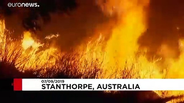 Лесные пожары в Австралии