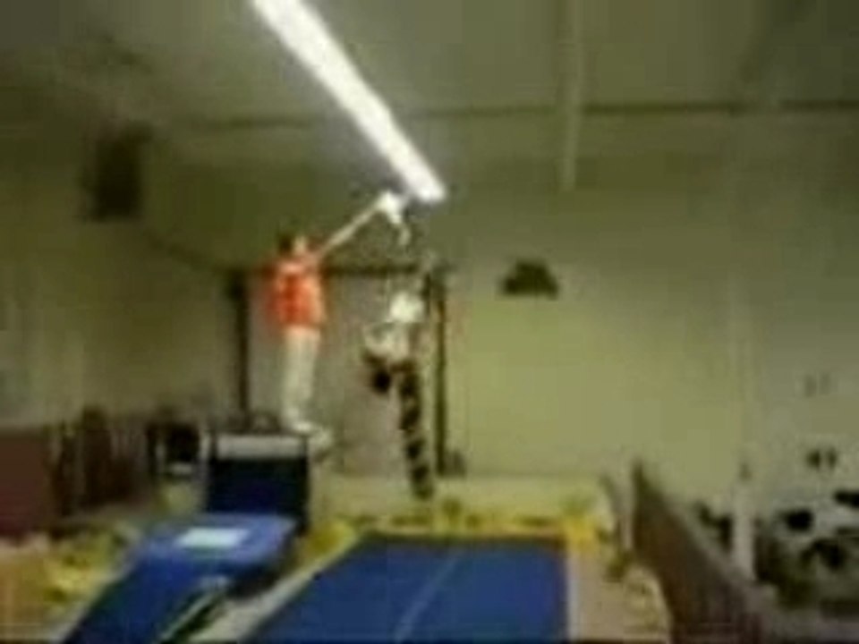 gymnastique dance
