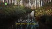 Beautiful Quran Recitation Surat An-Naba' (The Tidings) - سورة النبإ